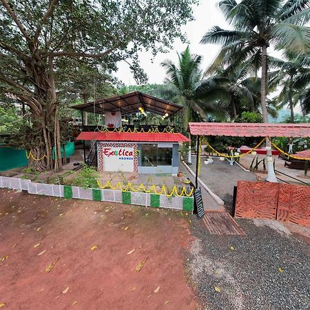 The Exotica Agonda Hotel Bagian luar foto
