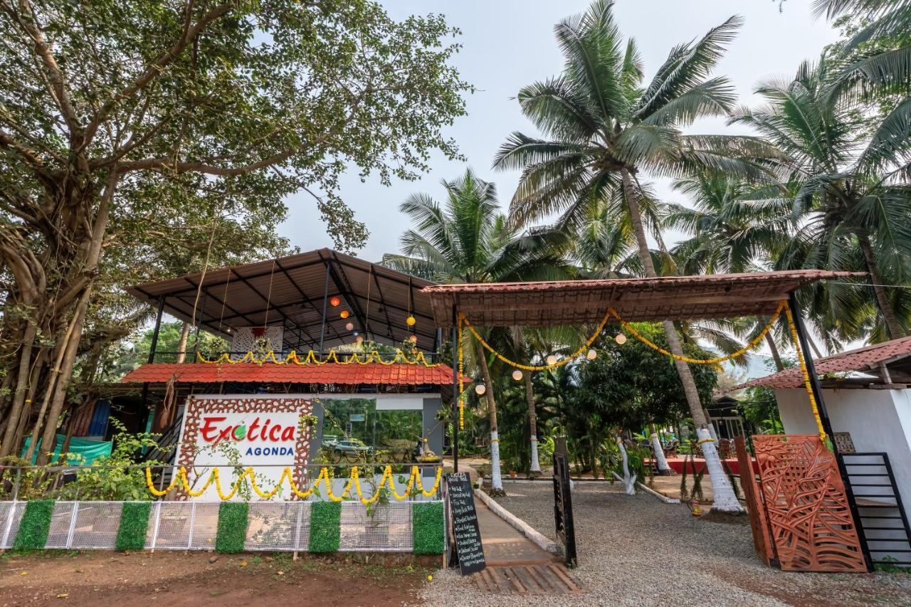 The Exotica Agonda Hotel Bagian luar foto