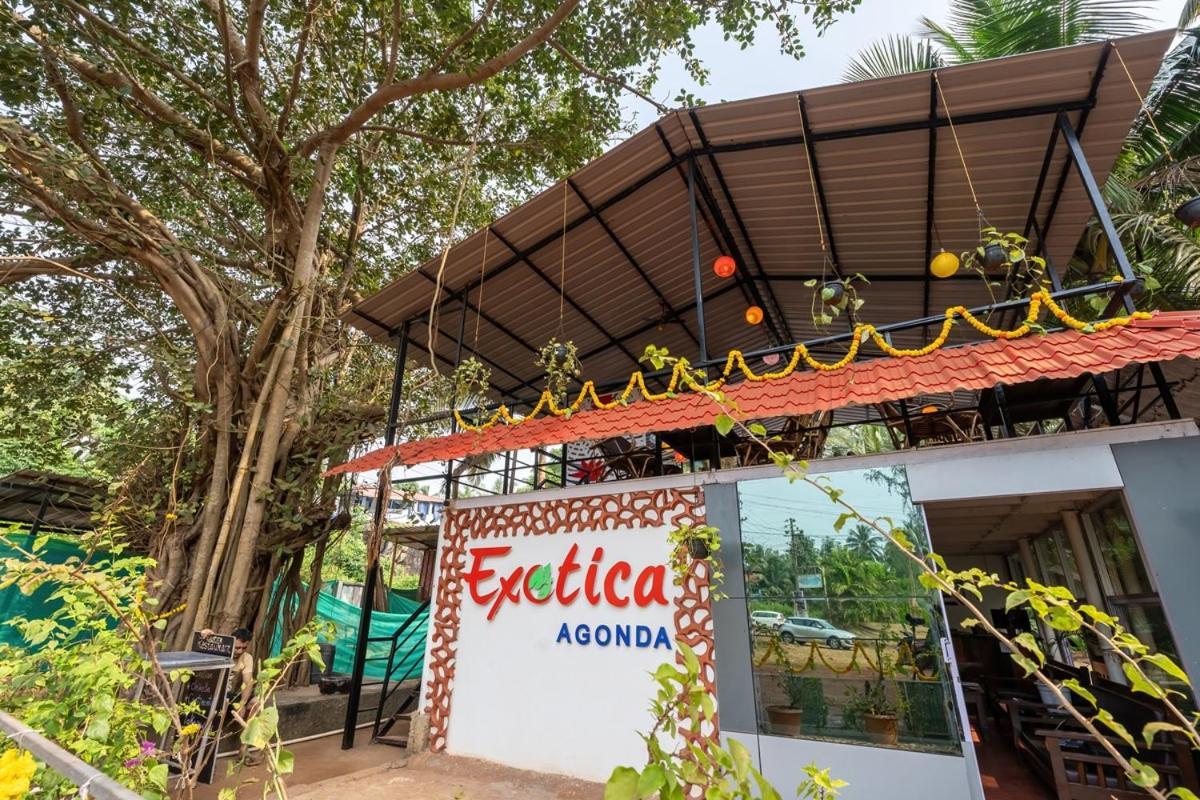 The Exotica Agonda Hotel Bagian luar foto