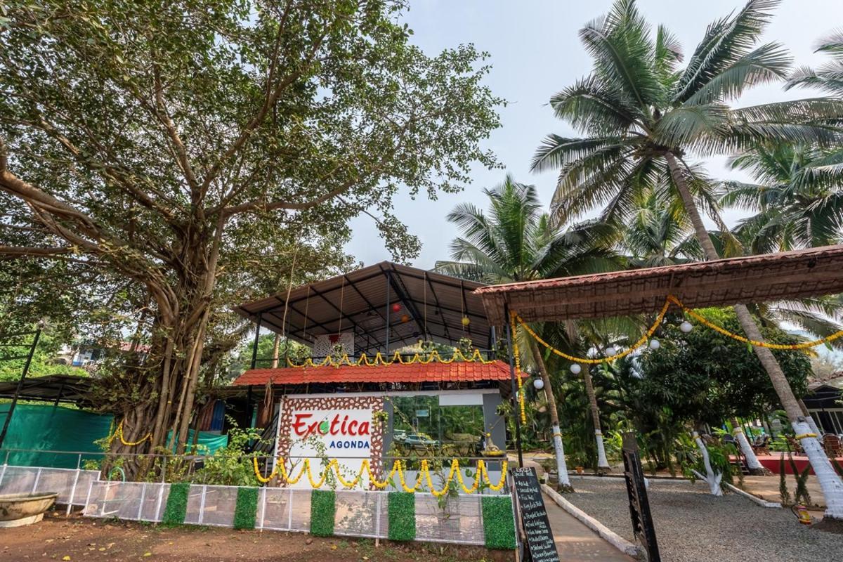 The Exotica Agonda Hotel Bagian luar foto